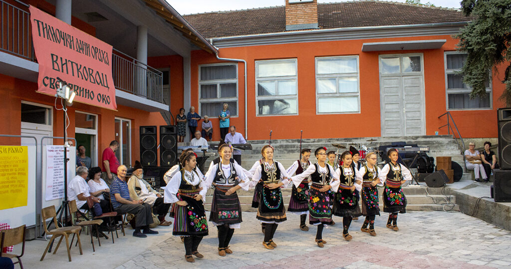 Circle of Knjazevac folklore during walnut day