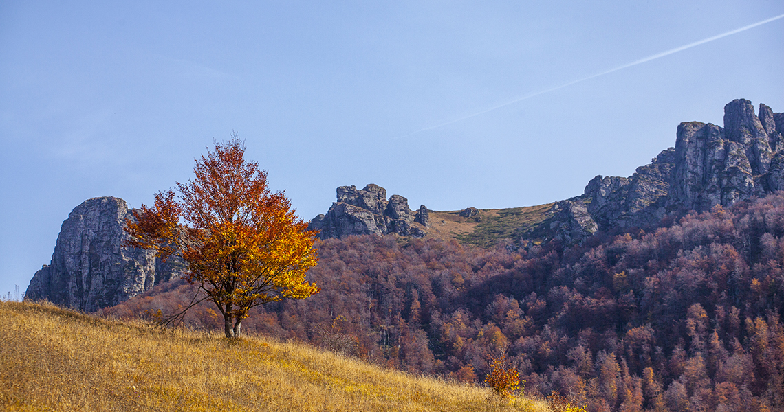 Autumn on Stara planina 13