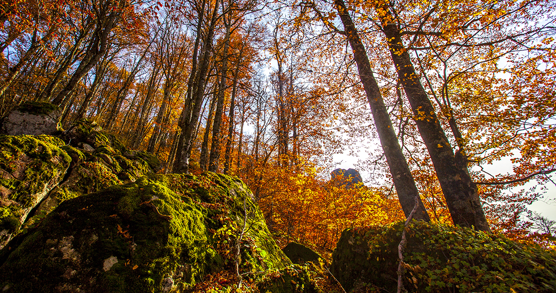 Autumn on Stara planina 14