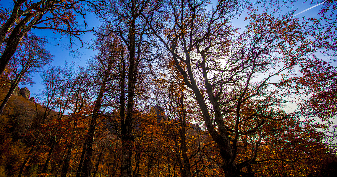 Autumn on Stara planina 2