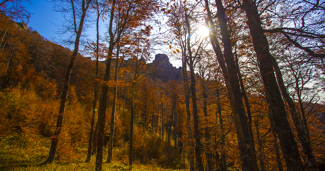 Autumn on Stara planina 3