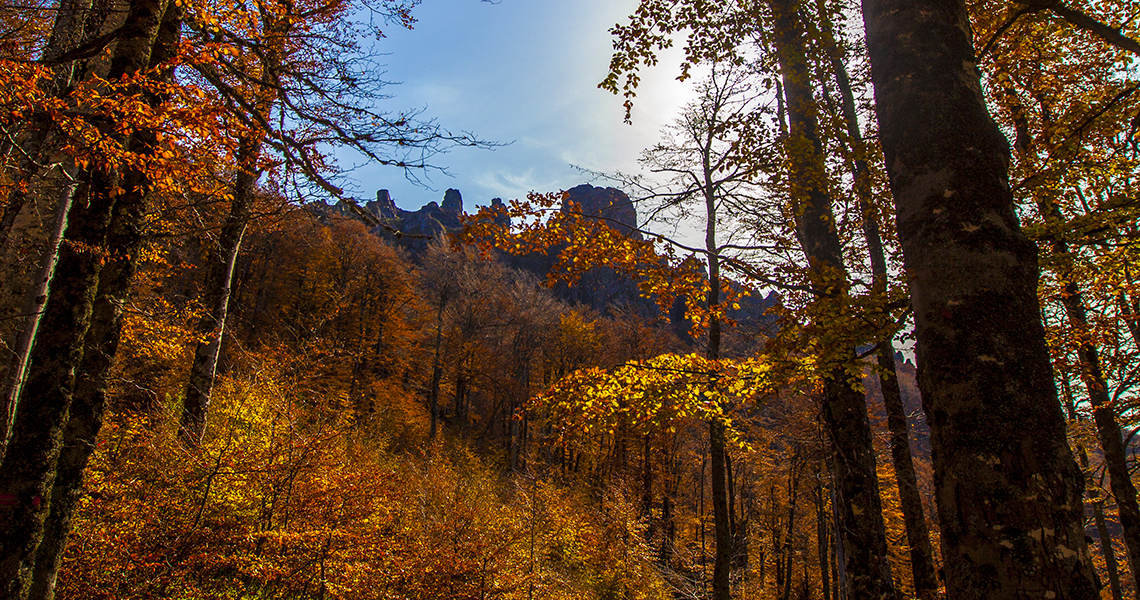 Autumn on Stara planina 6