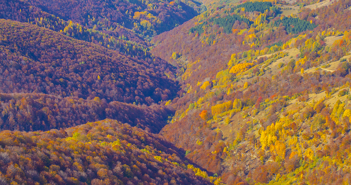 Autumn on Stara planina 8