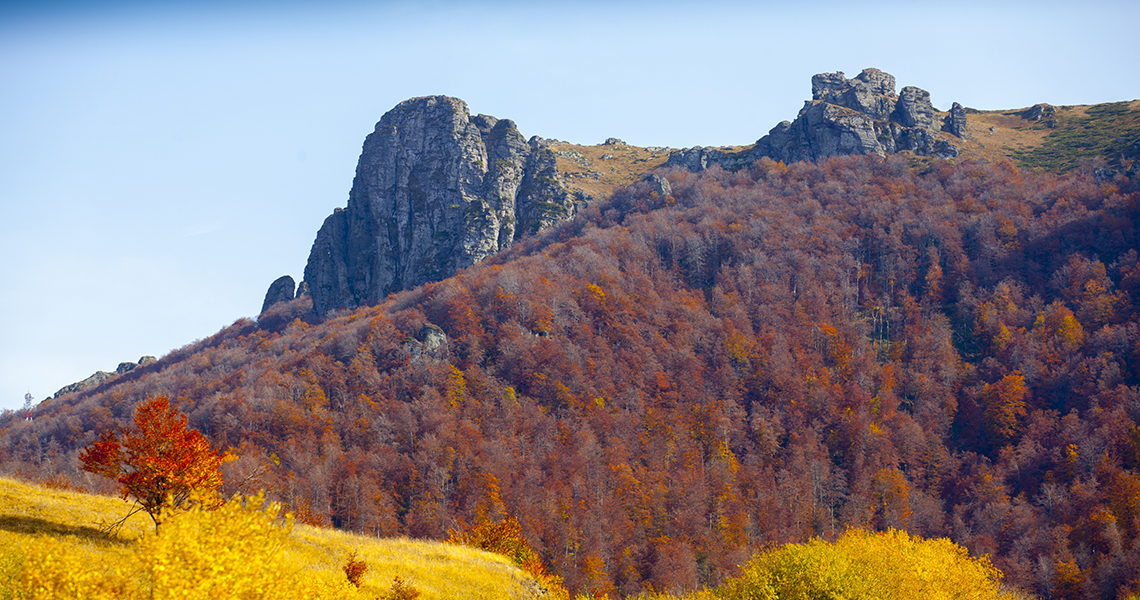 Autumn on Stara planina 9