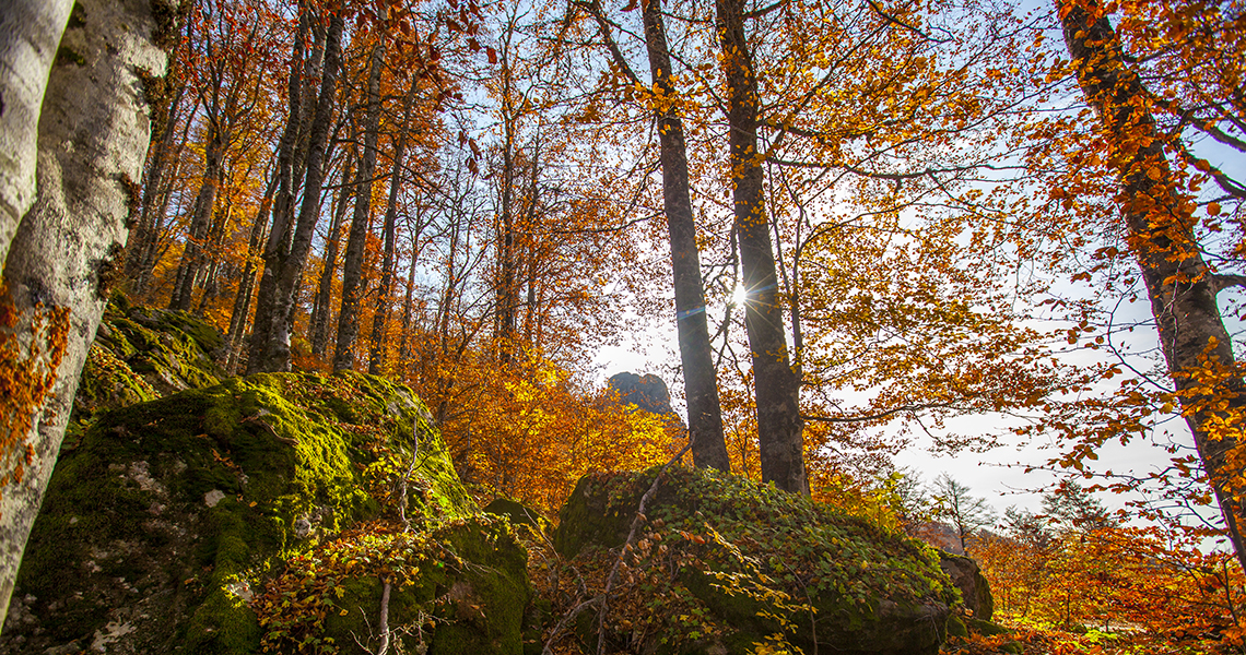 Autumn on Stara Planina