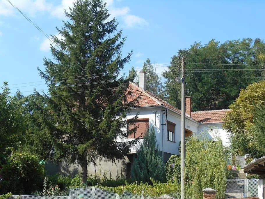 Вила Љубица