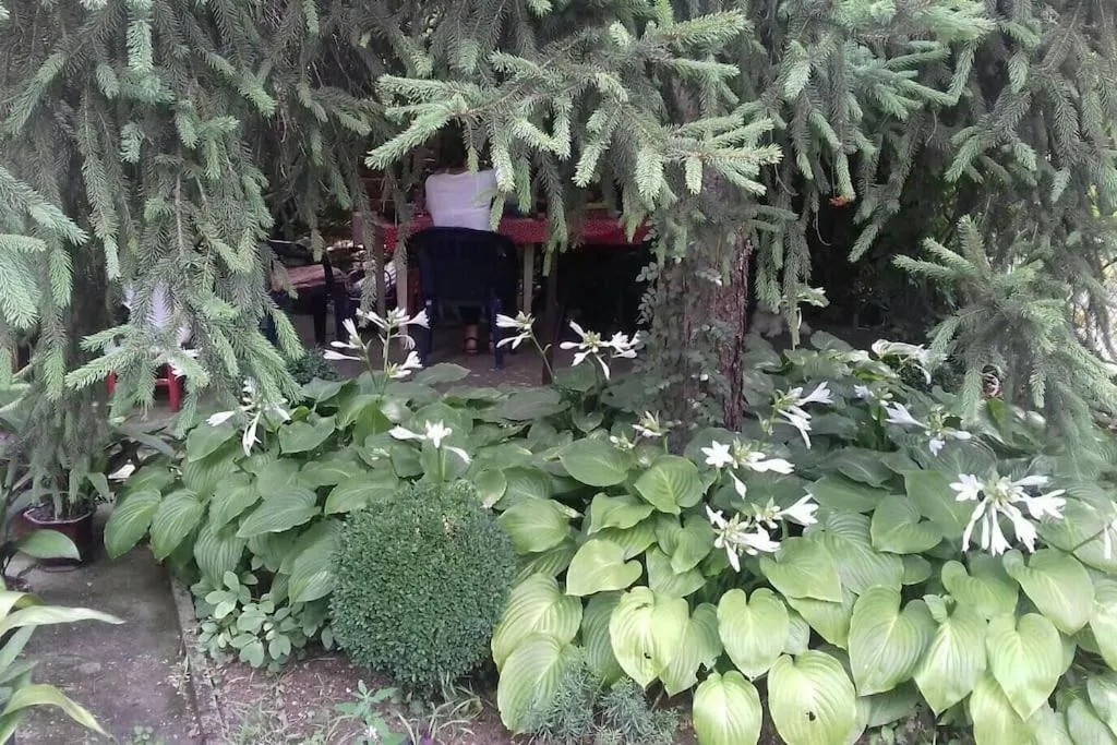 Вила Љубица